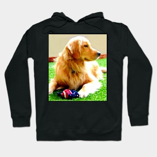 Golden Retriever Dog - Dallas Hoodie